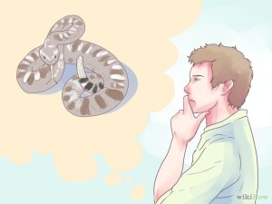 Contemplating A Snake